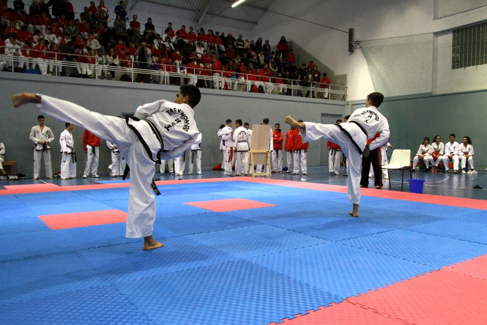 III Copa Seúl (132).jpg